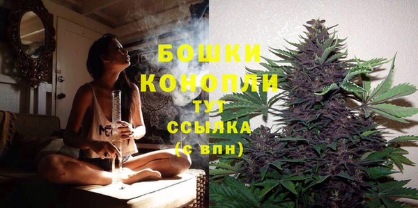 PSILOCYBIN Богородицк