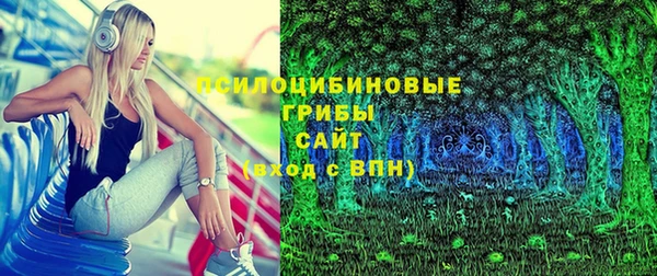 прущая мука Арсеньев