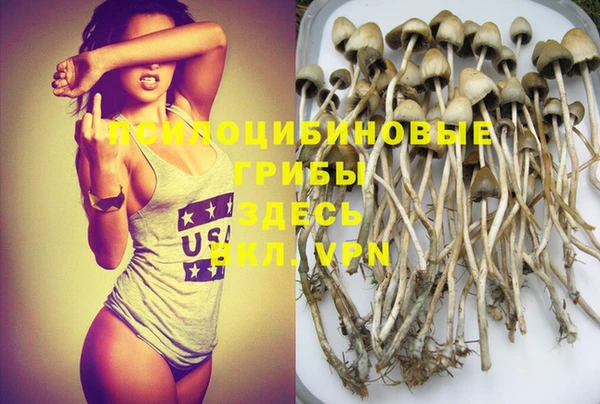 прущая мука Арсеньев