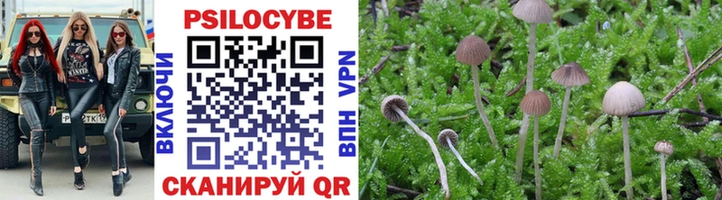 купить   Спасск  даркнет официальный сайт  Галлюциногенные грибы Magic Shrooms  МЕГА ТОР 