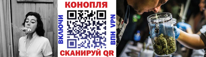 где можно купить   Спасск  Каннабис индика 